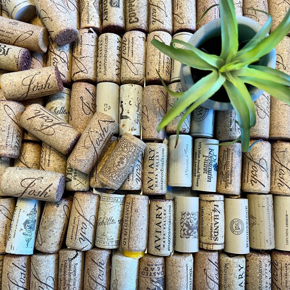 Wine Cork Collection